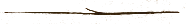Linha Separa